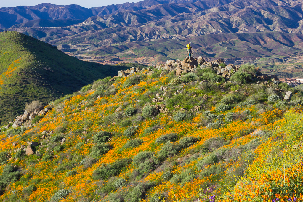 Walker Canyon, Heather Cundiff, Cundiff Creative