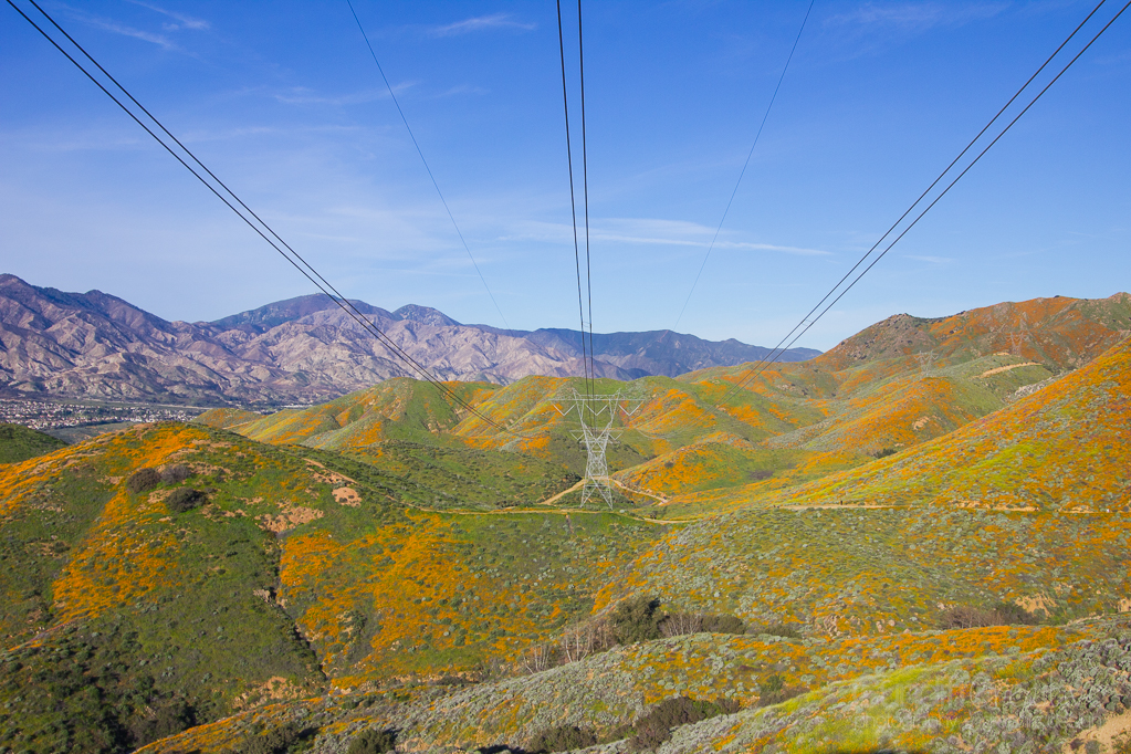 Walker Canyon, Heather Cundiff, Cundiff Creative