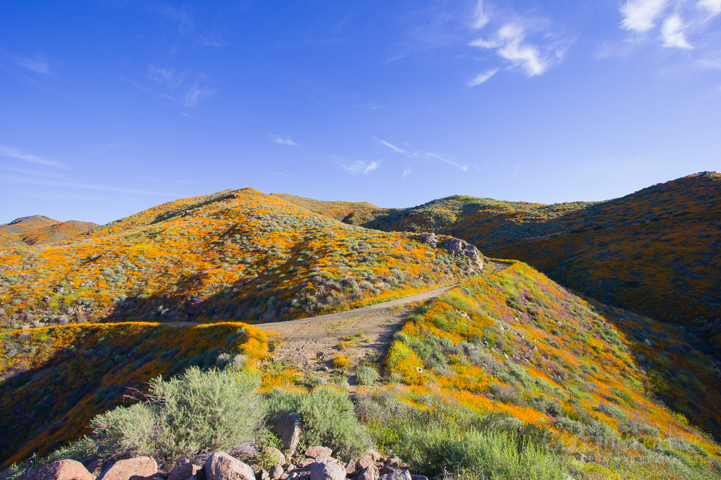 Walker Canyon, Heather Cundiff, Cundiff Creative