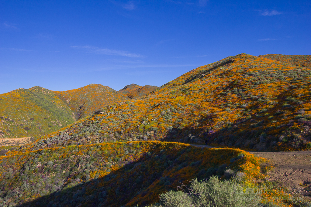Walker Canyon, Heather Cundiff, Cundiff Creative