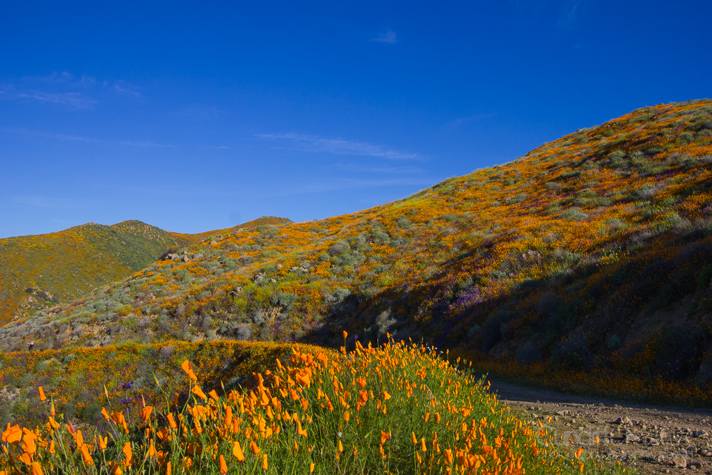 Walker Canyon, Heather Cundiff, Cundiff Creative