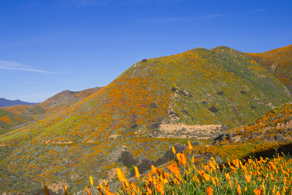 Walker Canyon, Heather Cundiff, Cundiff Creative