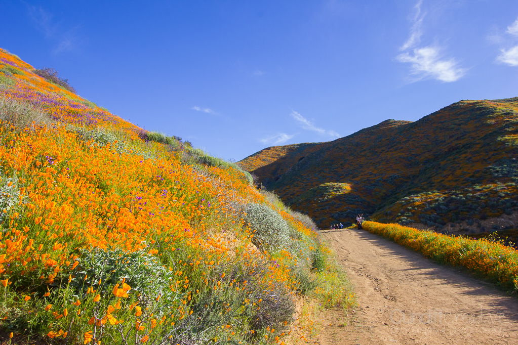 Walker Canyon, Heather Cundiff, Cundiff Creative