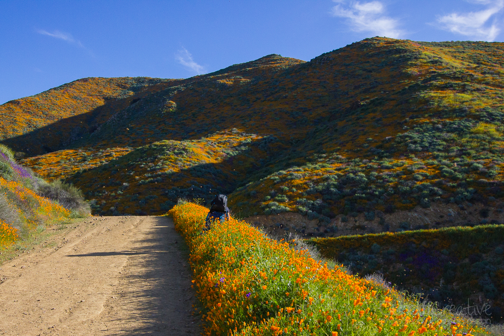 Walker Canyon, Heather Cundiff, Cundiff Creative