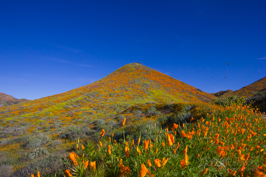 Walker Canyon, Heather Cundiff, Cundiff Creative