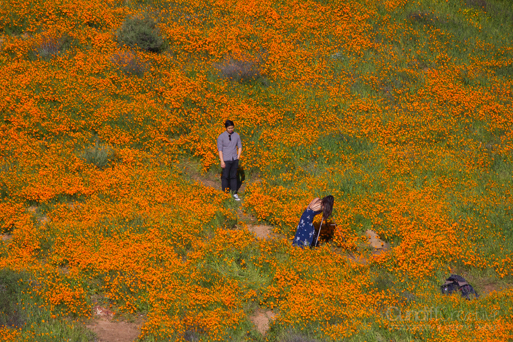 Walker Canyon, Heather Cundiff, Cundiff Creative