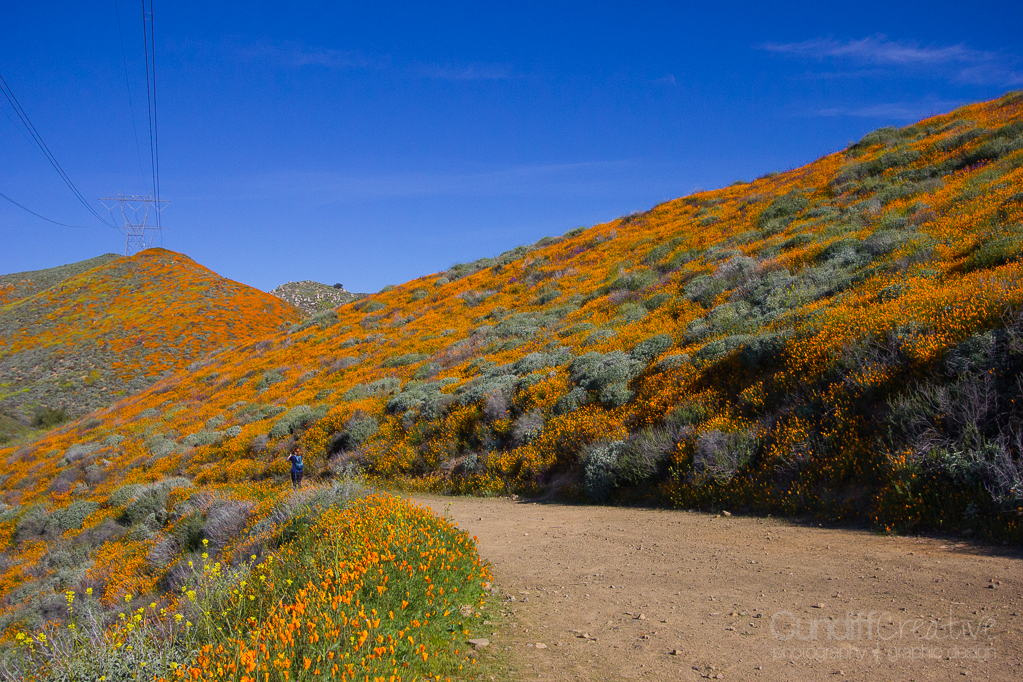 Walker Canyon, Heather Cundiff, Cundiff Creative