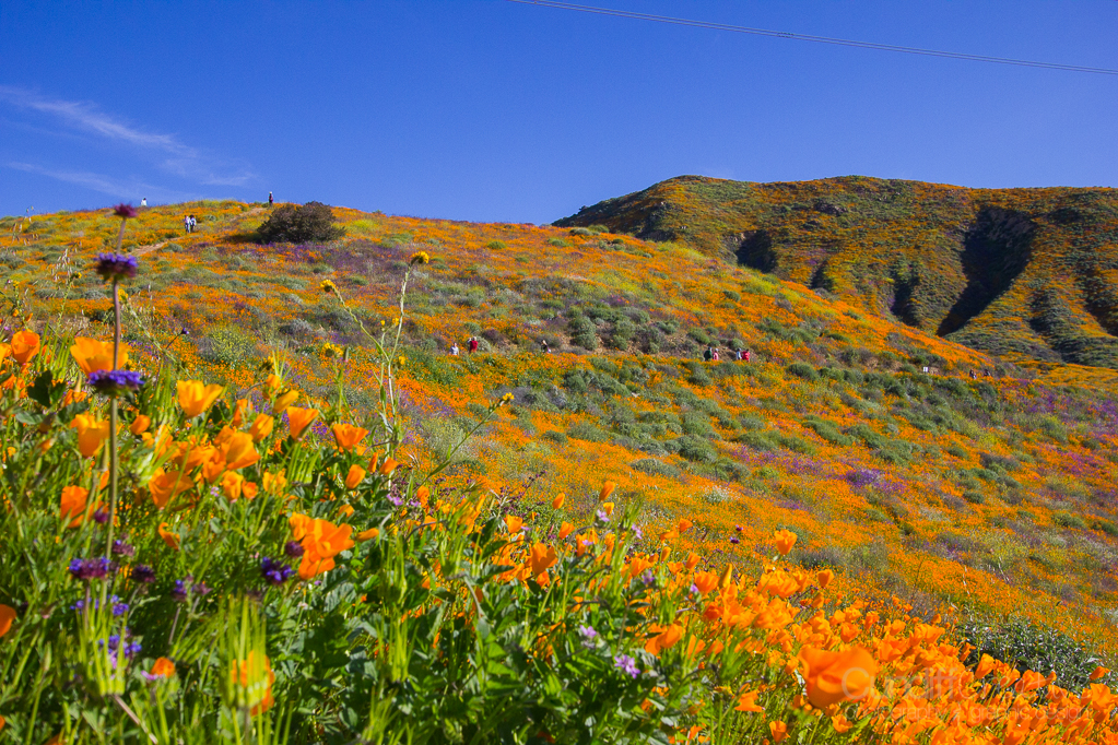 Walker Canyon, Heather Cundiff, Cundiff Creative