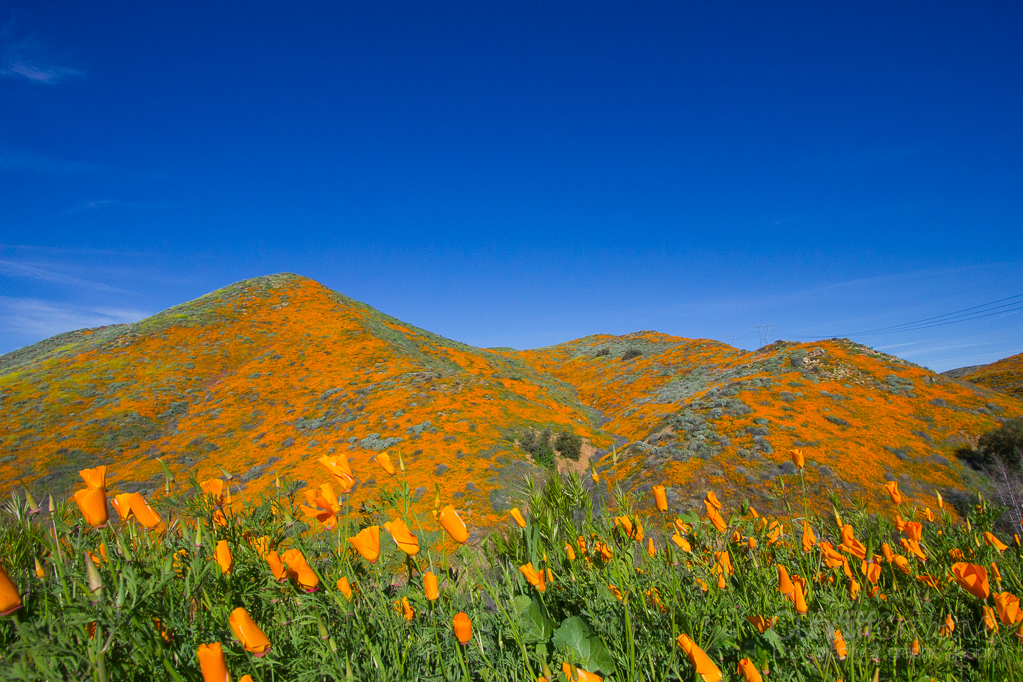 Walker Canyon, Heather Cundiff, Cundiff Creative