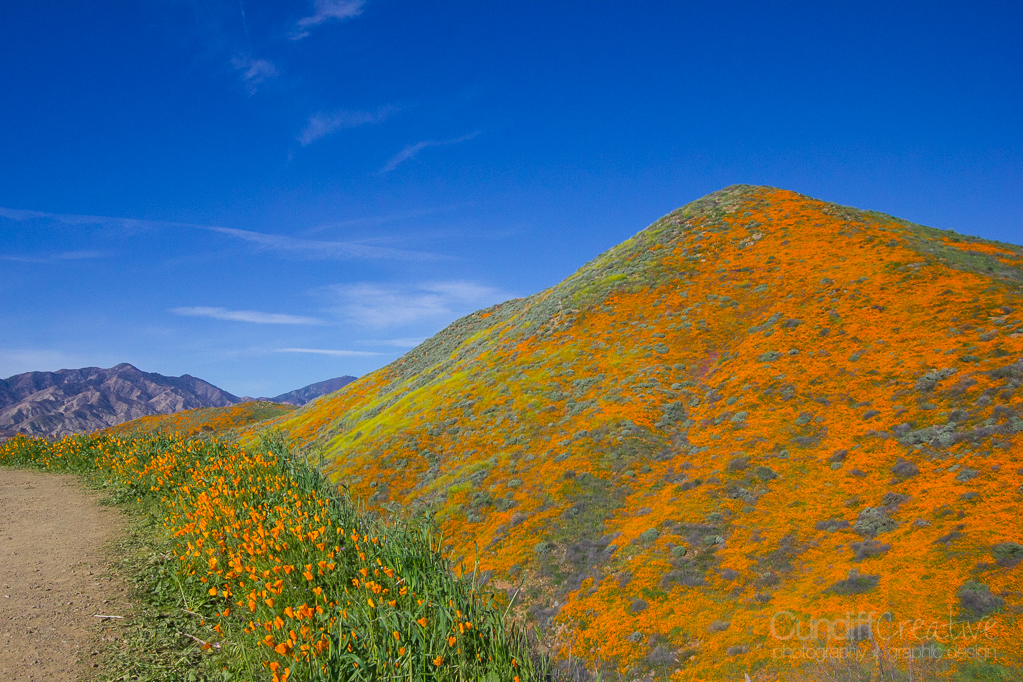 Walker Canyon, Heather Cundiff, Cundiff Creative