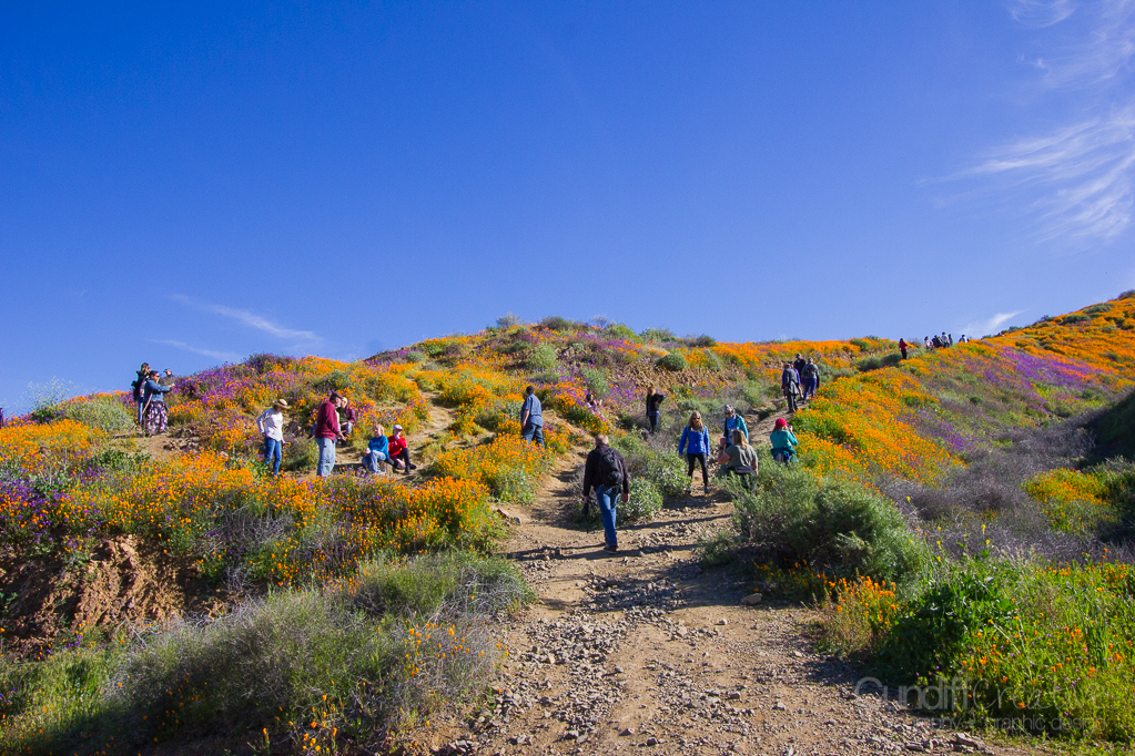 Walker Canyon, Heather Cundiff, Cundiff Creative