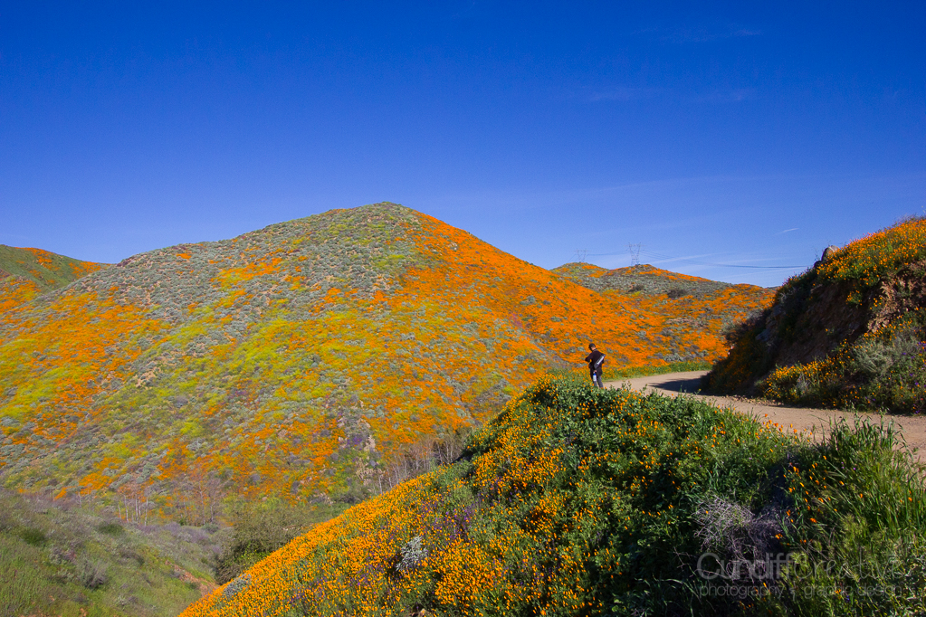 Walker Canyon, Heather Cundiff, Cundiff Creative