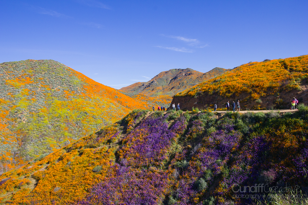 Walker Canyon, Heather Cundiff, Cundiff Creative