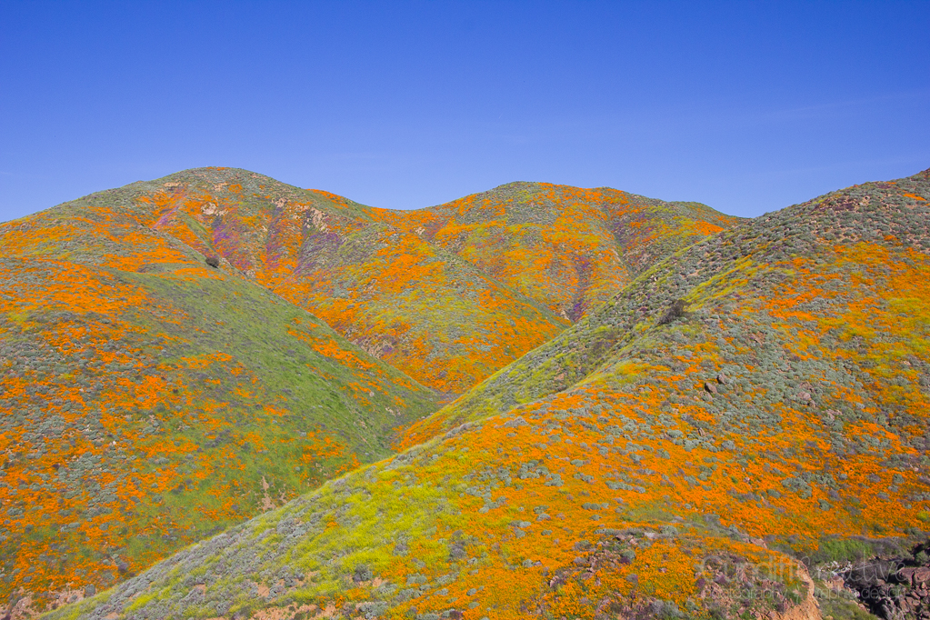 Walker Canyon, Heather Cundiff, Cundiff Creative