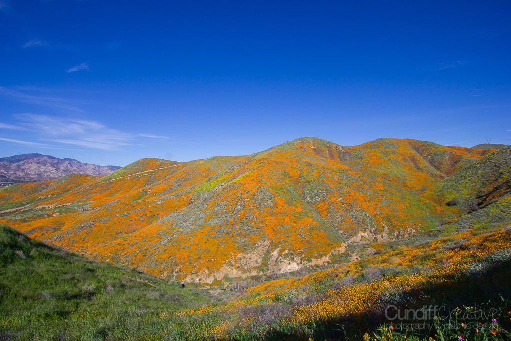 Walker Canyon, Heather Cundiff, Cundiff Creative