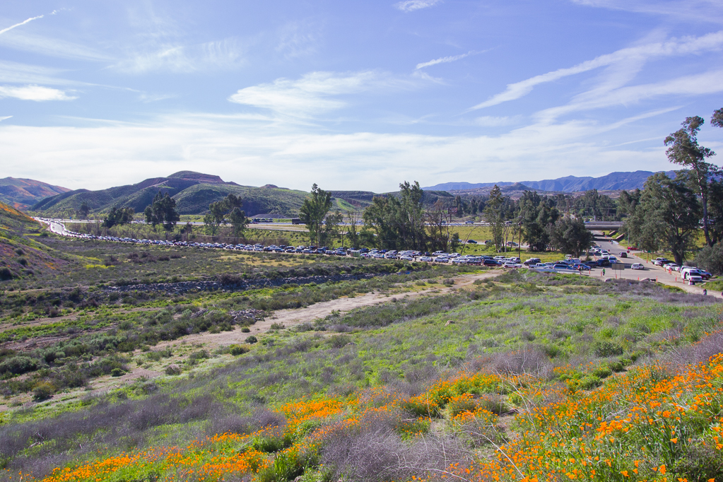 Walker Canyon, Heather Cundiff, Cundiff Creative