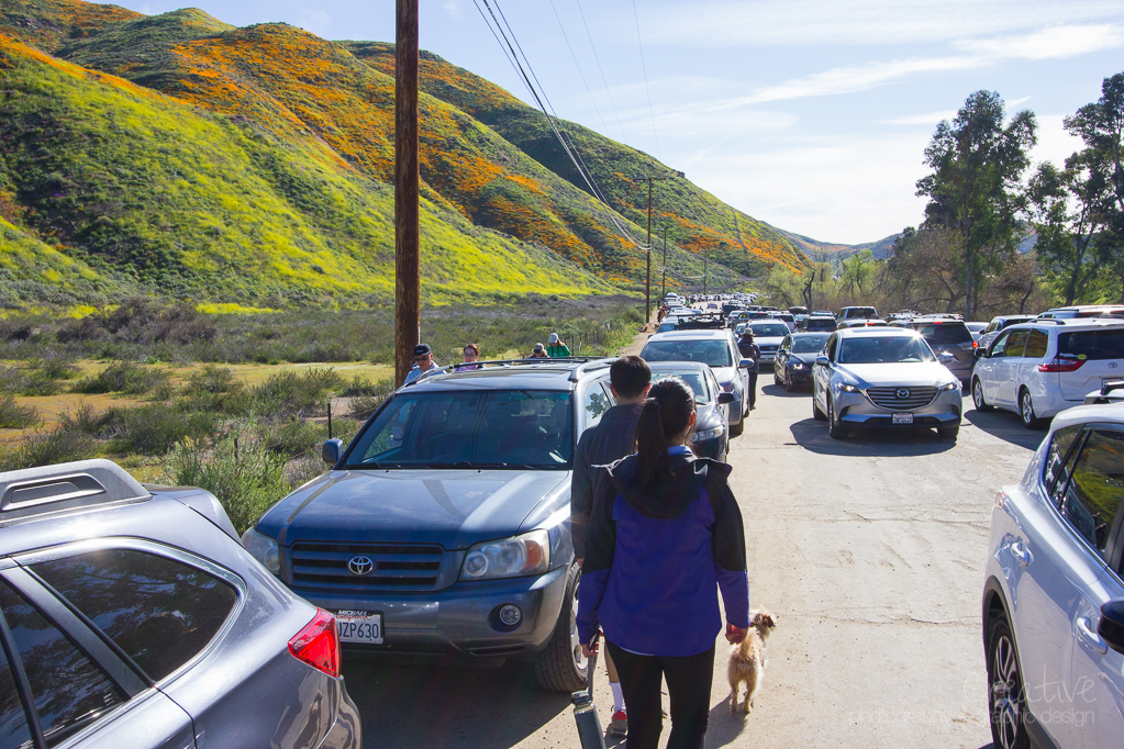 Walker Canyon, Heather Cundiff, Cundiff Creative