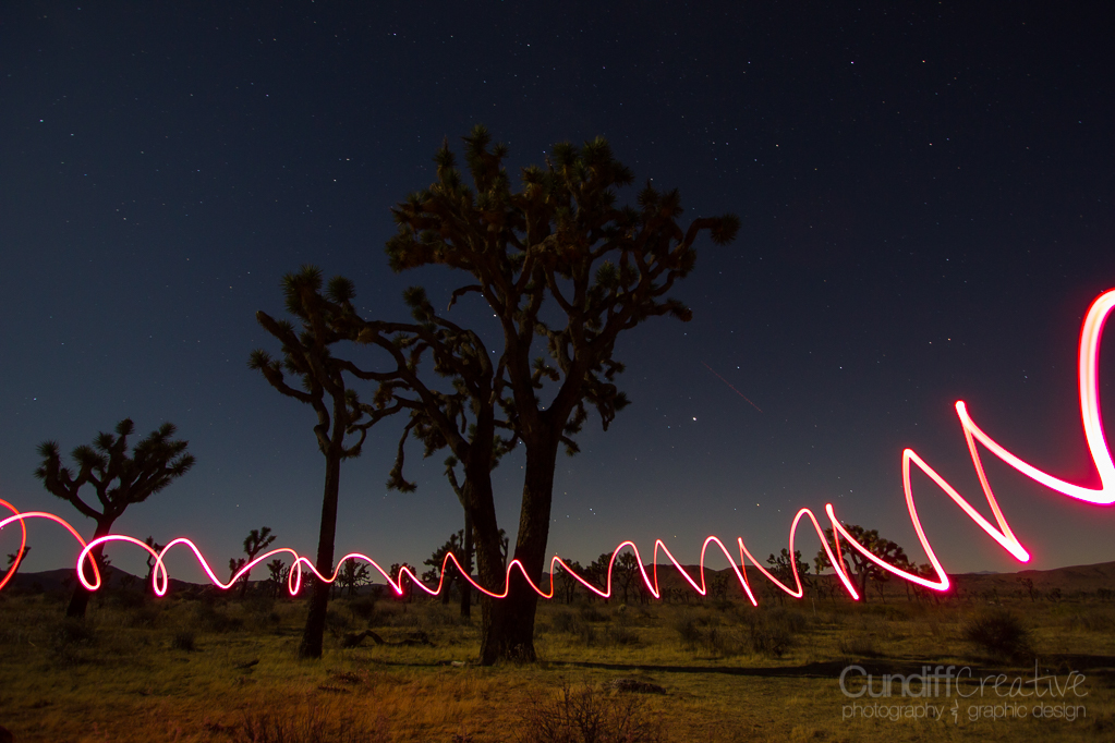 JoshuaTree-6268