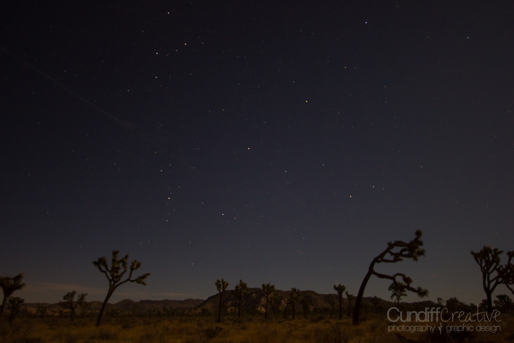 JoshuaTree-6293