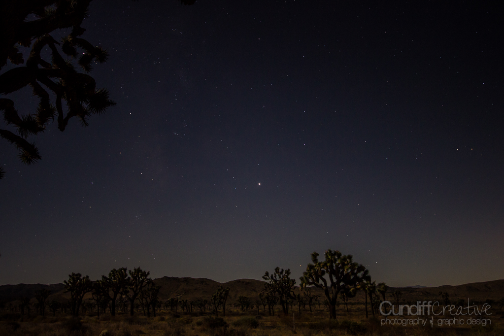 JoshuaTree-6298