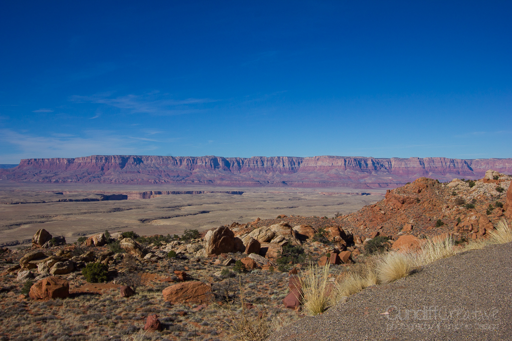 Horseshoe-Antelope-6340