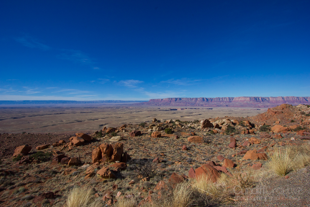 Horseshoe-Antelope-6342