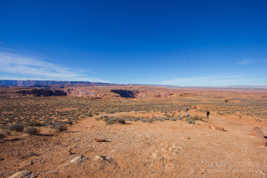 Horseshoe-Antelope-6346