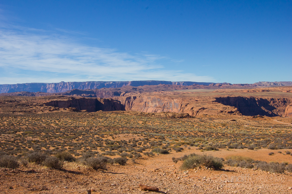 Horseshoe-Antelope-6347