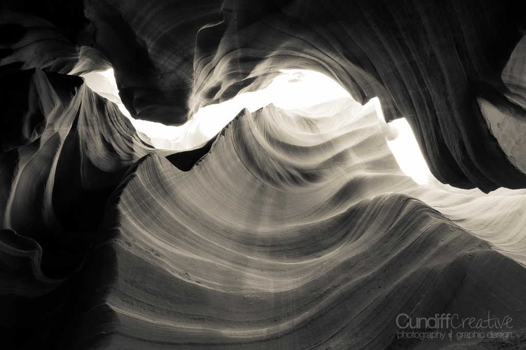 Horseshoe-Antelope-6381