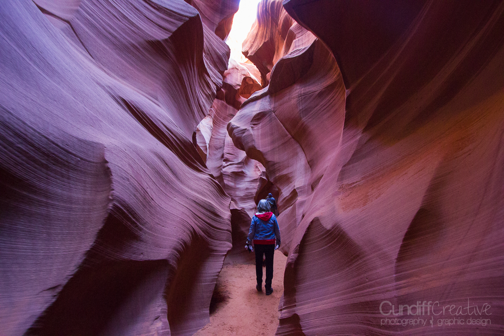 Horseshoe-Antelope-6409