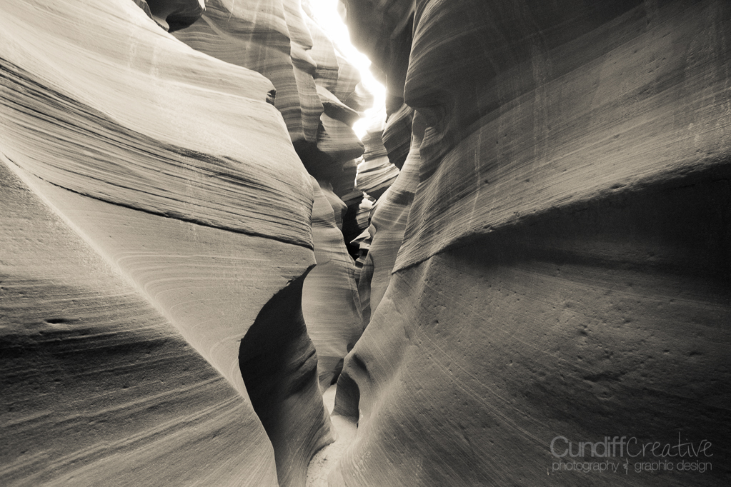 Horseshoe-Antelope-6413