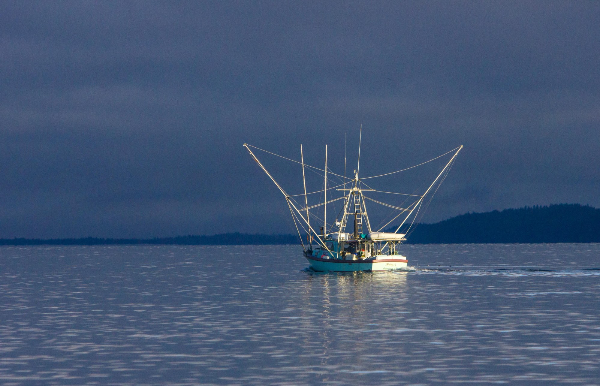 whale, alaska